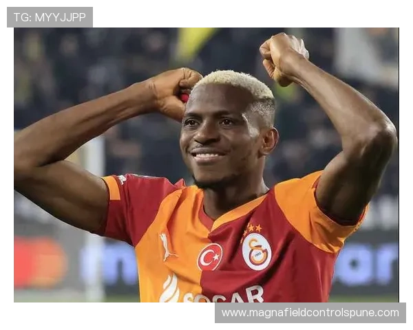 奥斯梅恩意甲冠军核心身份的荣誉含金量解析