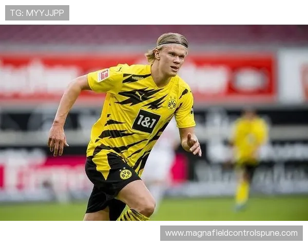 弗拉霍维奇禁区统治力解析:传统9号模板 弗拉霍维奇禁区统治力解析:传统9号模板