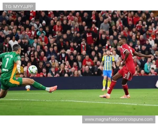 利物浦伤病对赛季走势影响已显现，球队稳定性面临考验