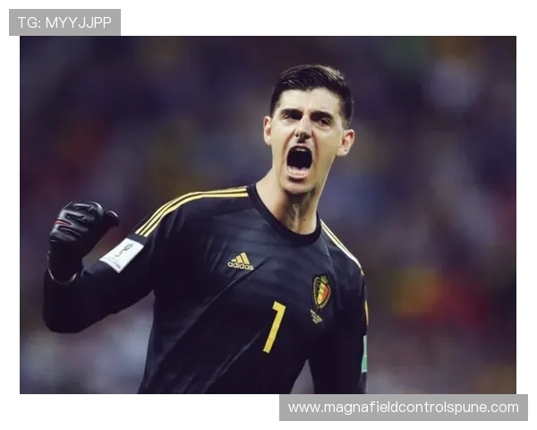 库尔图瓦与诺伊尔：传统门神与清道夫型门将角色对比分析